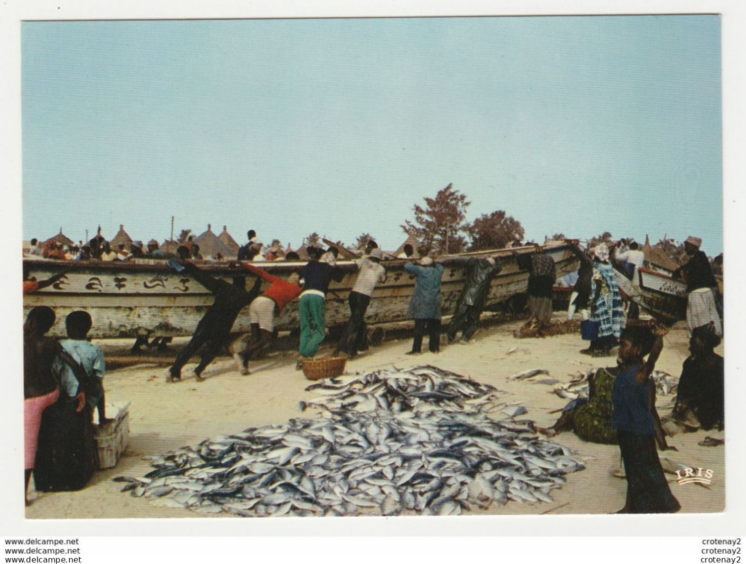 SENEGAL Retour De Pêche Poisson Pêcheurs Bateau VOIR DOS Edit ADP Dakar N°156 - Visvangst