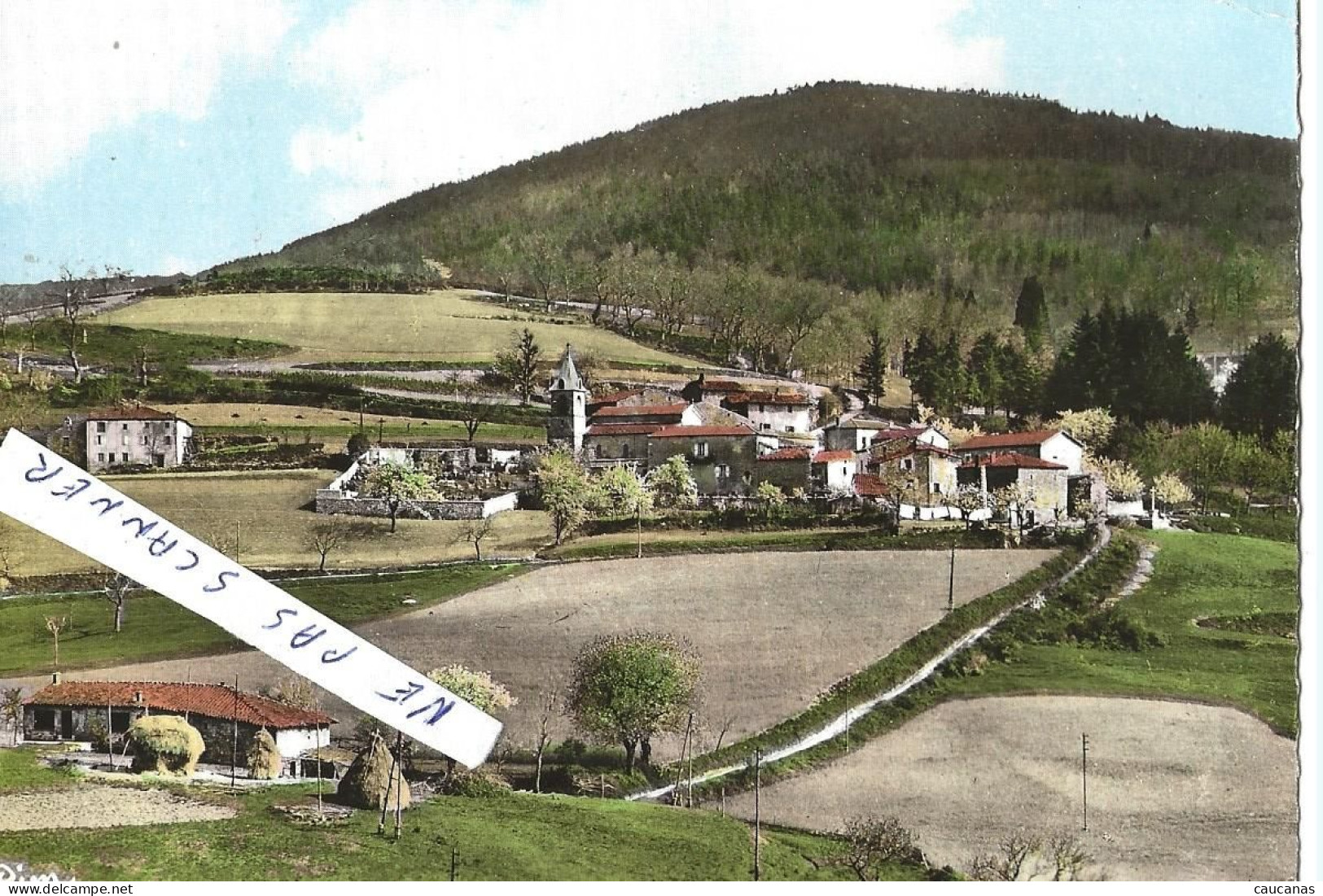 SAINT BARTHELEMY LE PIN  1965 - Autres & Non Classés