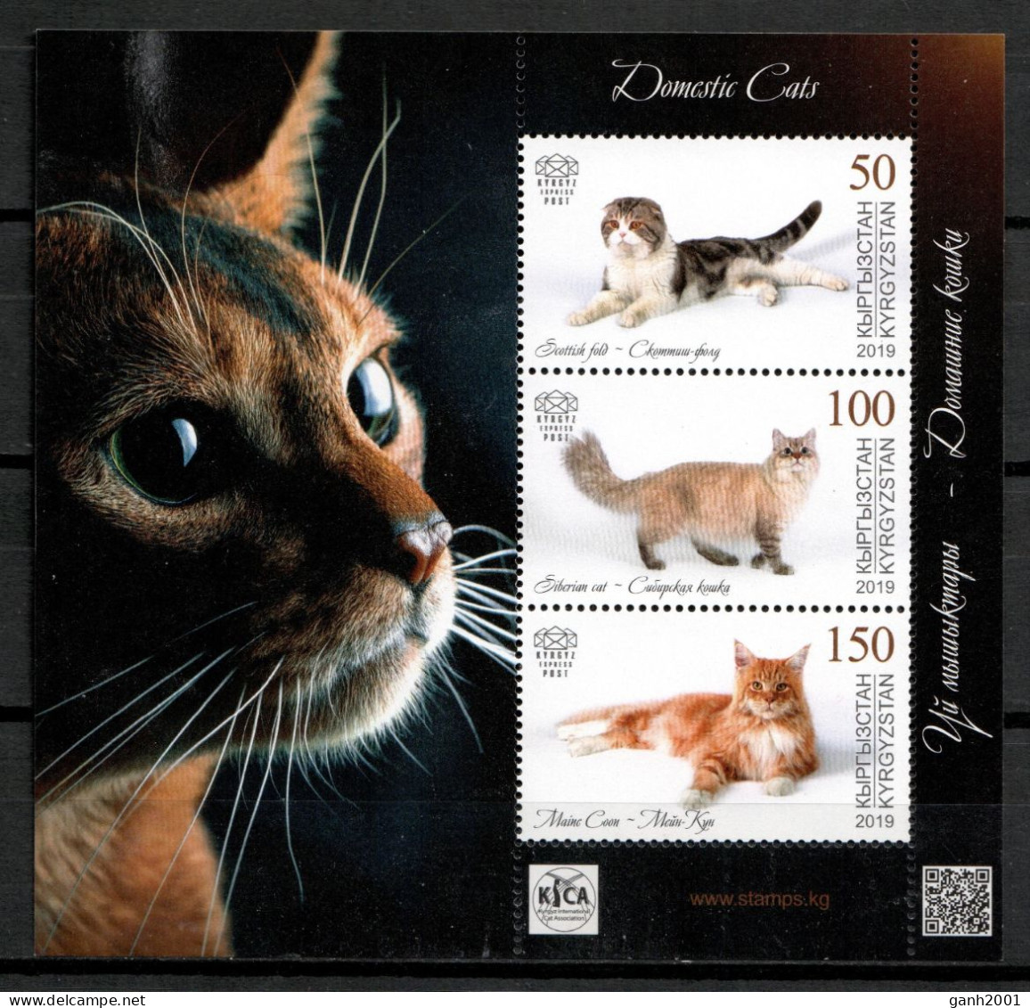 Kyrgyzstan 2019 / Mammals Cats MNH Gatos Mamíferos Chats Katzen Saugëtiere / Cu19864  33-36 - Chats Domestiques