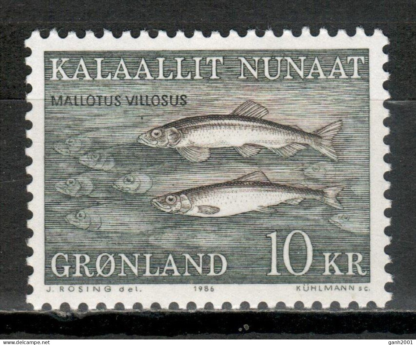 Greenland 1986 Groenlandia / Fish Fishes MNH Fische Peces Poisson / Cu17618  33-36 - Fishes
