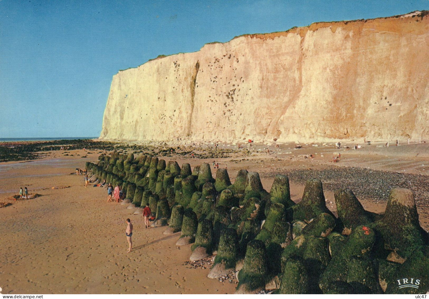 - 80 - MERS-LES-BAINS (Somme). - Les Tétrapodes Et La Falaise - - Mers Les Bains