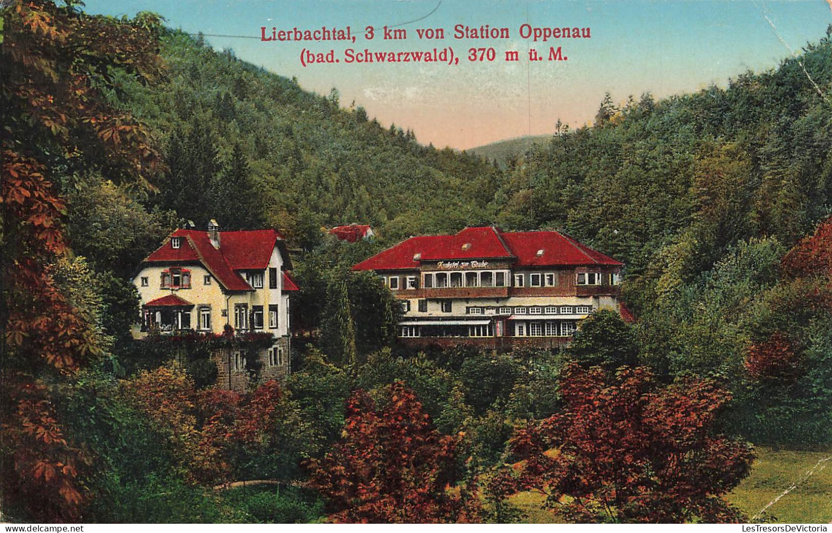 ALLEMAGNE - Lerbachatal - 3 Km Von Station Oppenau - Bad Schwarzwald - 370 M U M - Carte Postale Ancienne - Quedlinburg