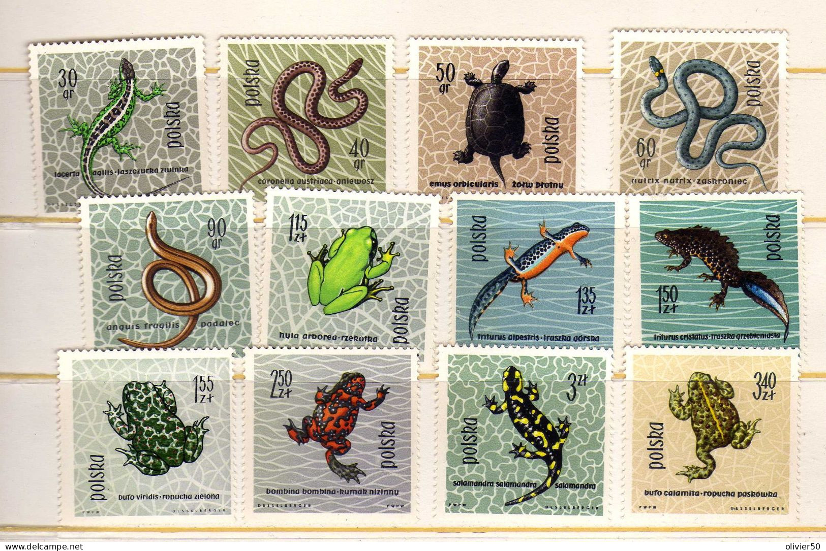 Pologne - Faune - Reptiles - Neufs** - MNH  - - Nuevos