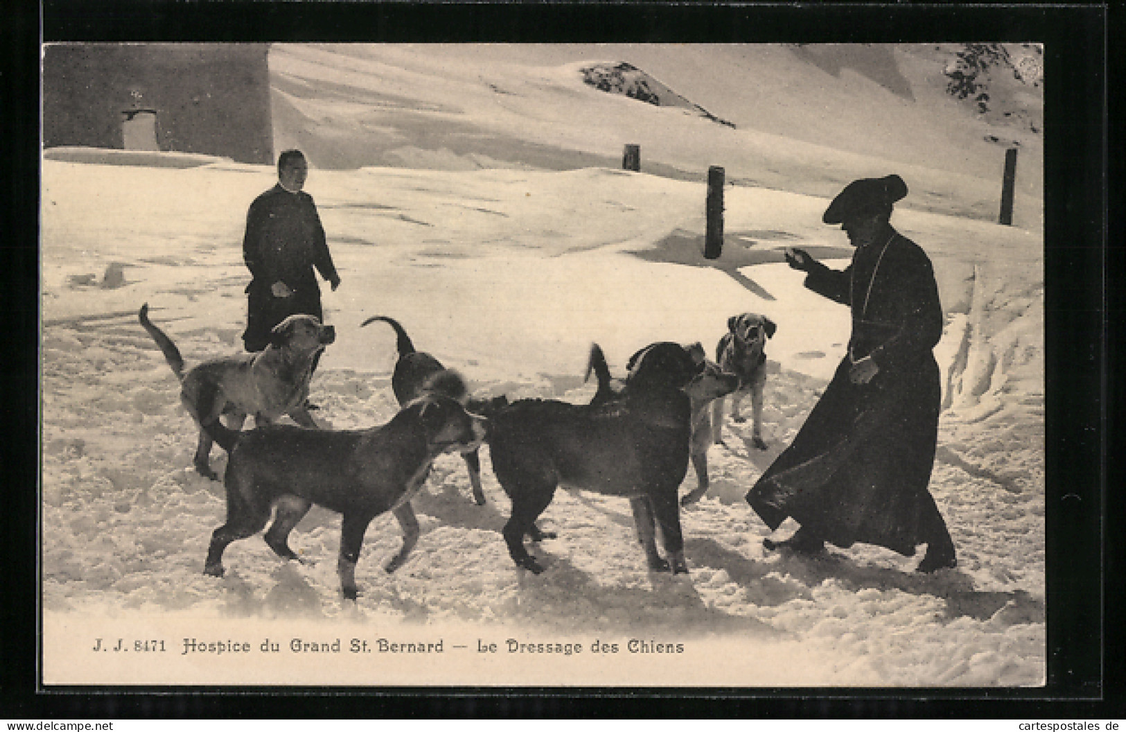 AK Bourg-Saint-Pierre, Hospice Du Grand St. Bernard, Le Dressage Des Chiens, Bernhardiner  - Bourg-Saint-Pierre 