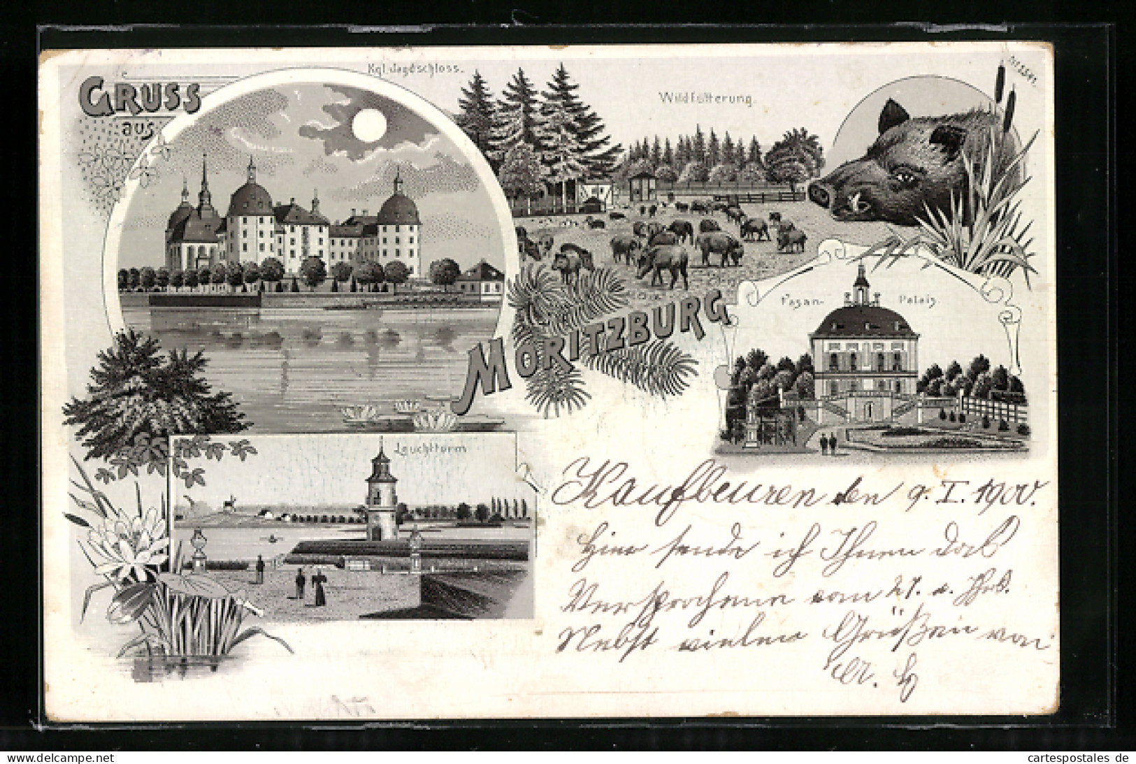 Mondschein-Lithographie Moritzburg / Sa., Fasaneen-Palais, Leuchtturm, Wildfütterung  - Moritzburg