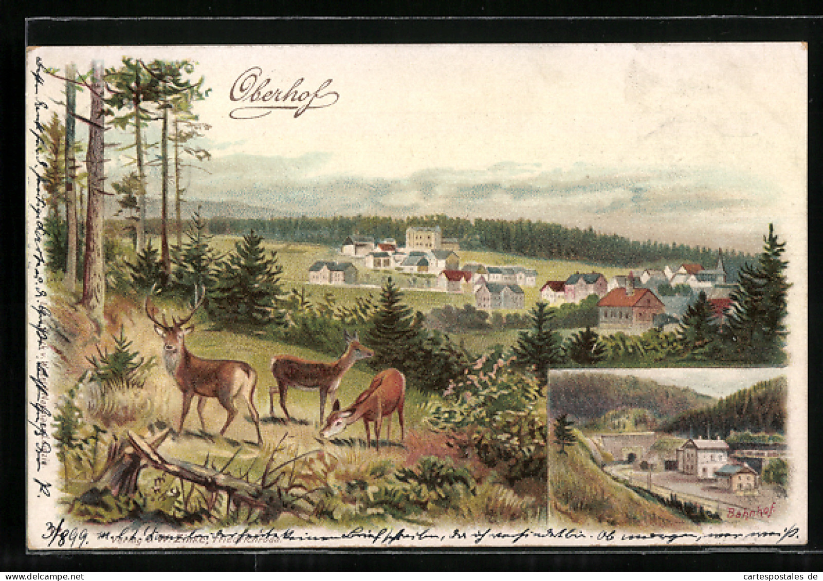 Lithographie Oberhof / Th., Ortsansicht Mit Hirschen, Bahnhof  - Oberhof