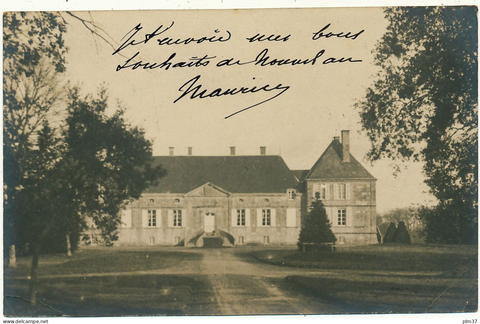 FONTENAY LE COMTE - Carte Photo , Château De La Beaugissière - Fontenay Le Comte