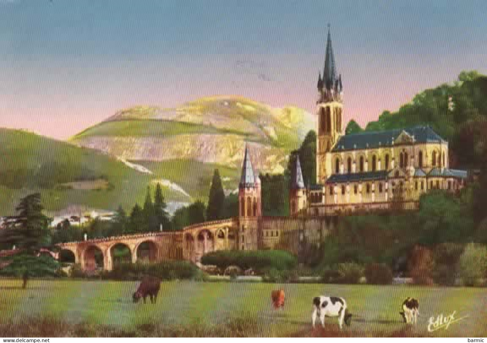 LOURDES, LA BASILIQUE ET LE PIC DU JER, TROUPEAU DE VACHES  COULEUR  REF 15892 - Lourdes
