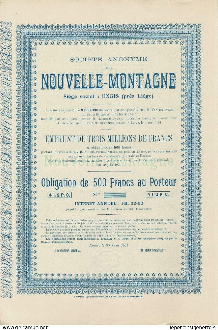 Obligation De 1901- Société Anonyme  De La Nouvelle-Montagne - Blanco - EF - Mineral