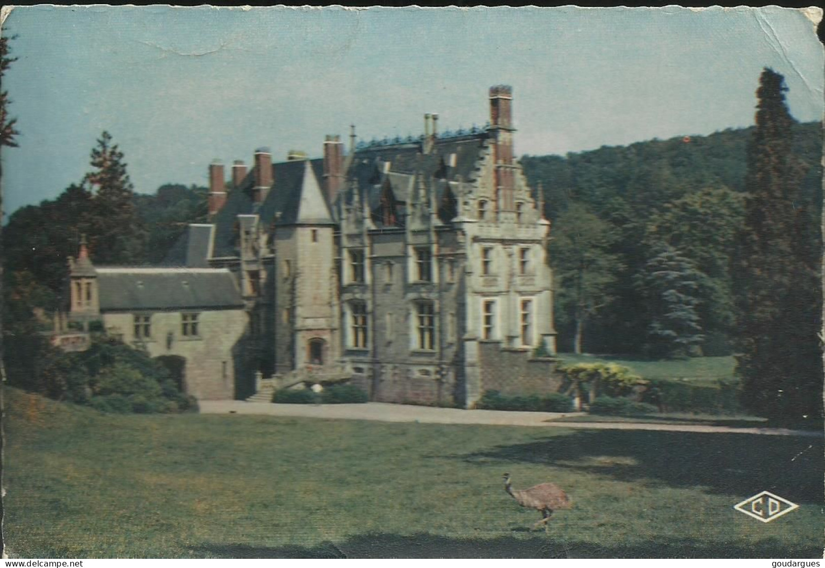 Parc Zoologique De Cleres - Un Emeu Devant Le Château - (P) - Clères