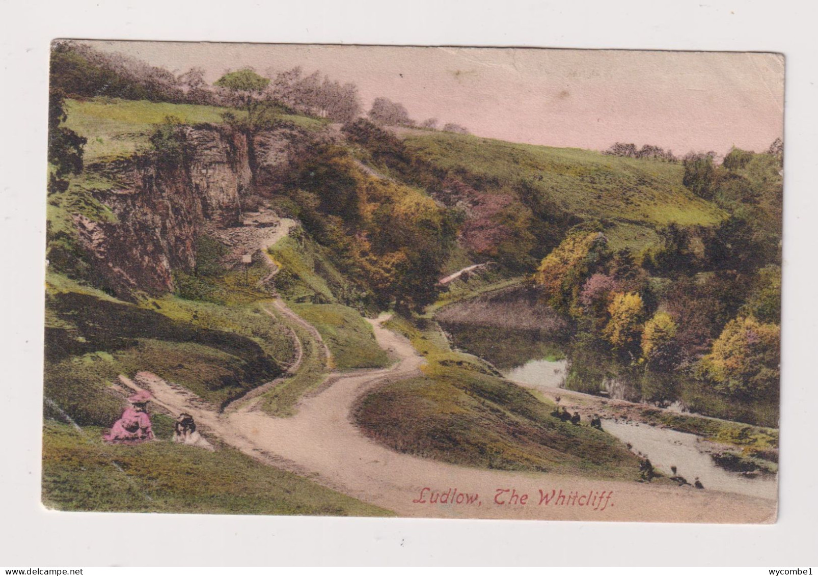 ENGLAND -  Ludlow The Whitcliff  Used Vintage Postcard - Shropshire