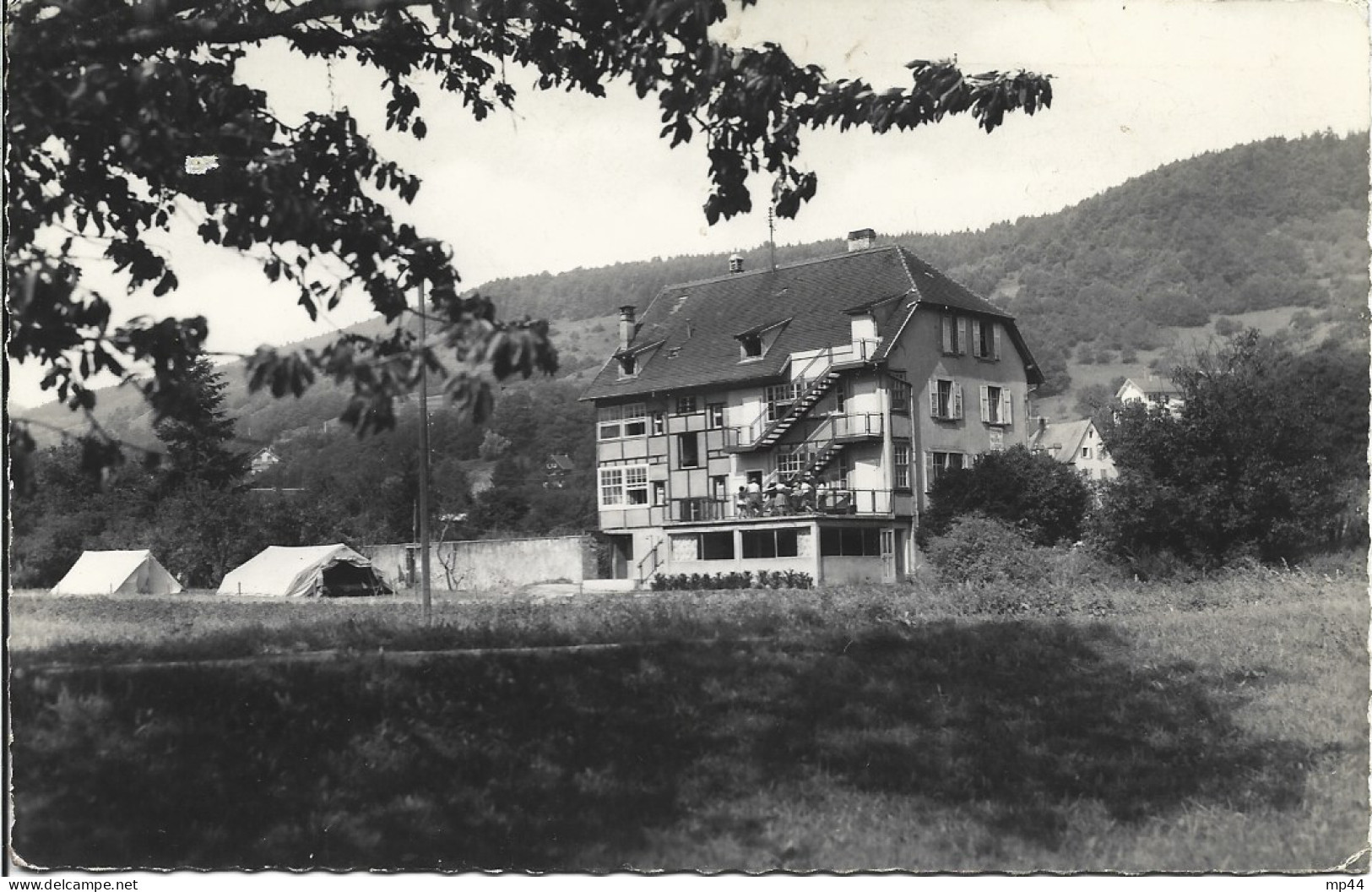 1A  ---  68  LUTTENBACH Pès Munster  Colonie De Vacances " Les Cigognes" - Sonstige & Ohne Zuordnung