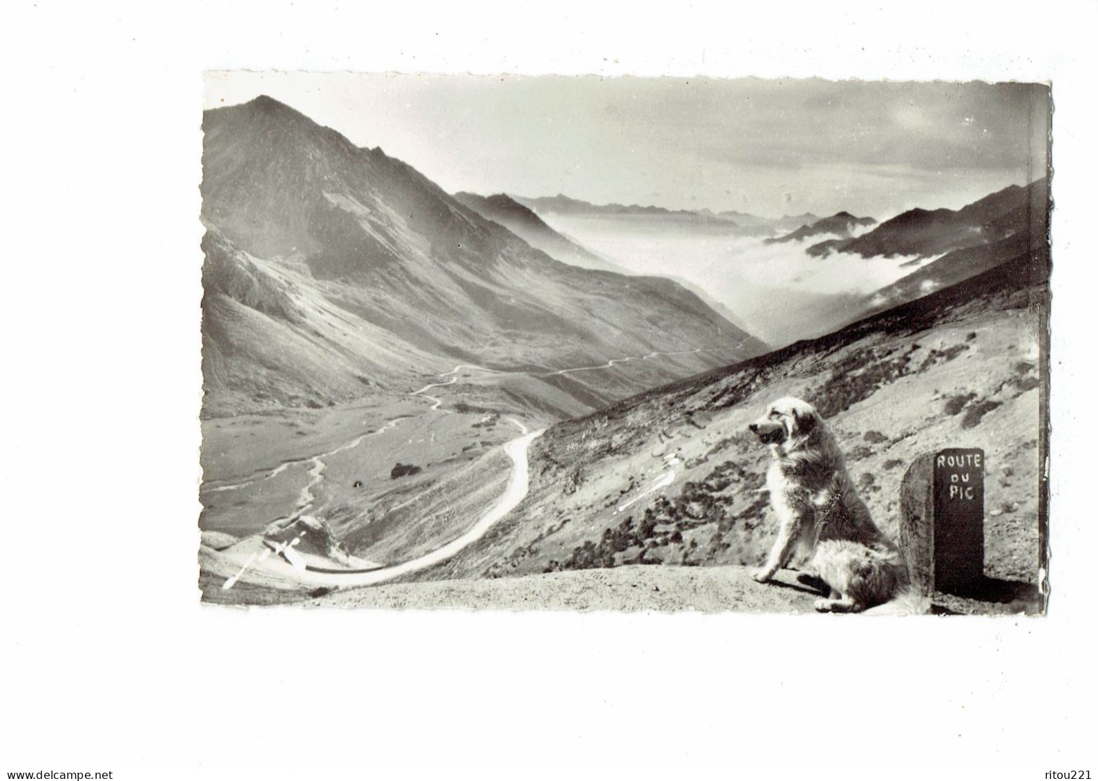 Cpm - 65 - Pyrénées  - Col Du Tourmalet - N° 560 JOVE - Descente Dur Barèges - Borne Route Du Pic - Chien - - 1960 - Other & Unclassified