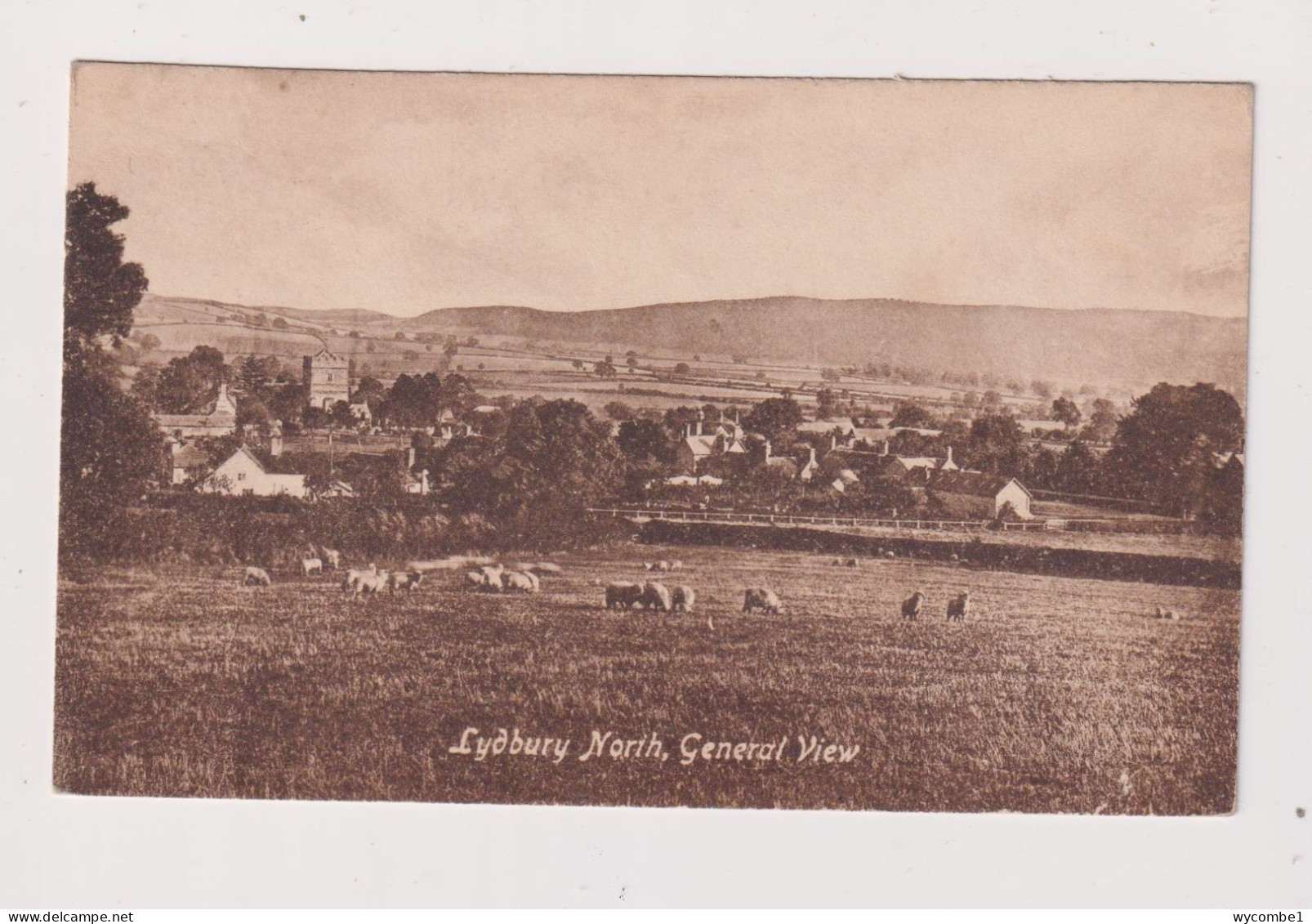 ENGLAND -  Lydbury North  Unused Vintage Postcard - Shropshire