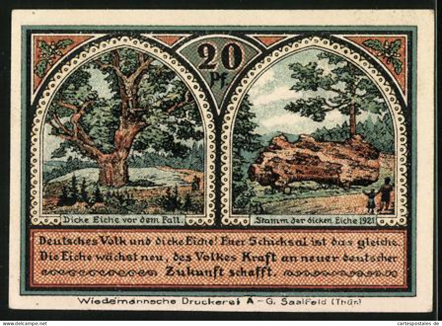Notgeld Roda Bei Ilmenau 1921, 20 Pfennig, Dicke Eiche Vor Dem Fall, Ihr Stamm Danach  - [11] Lokale Uitgaven