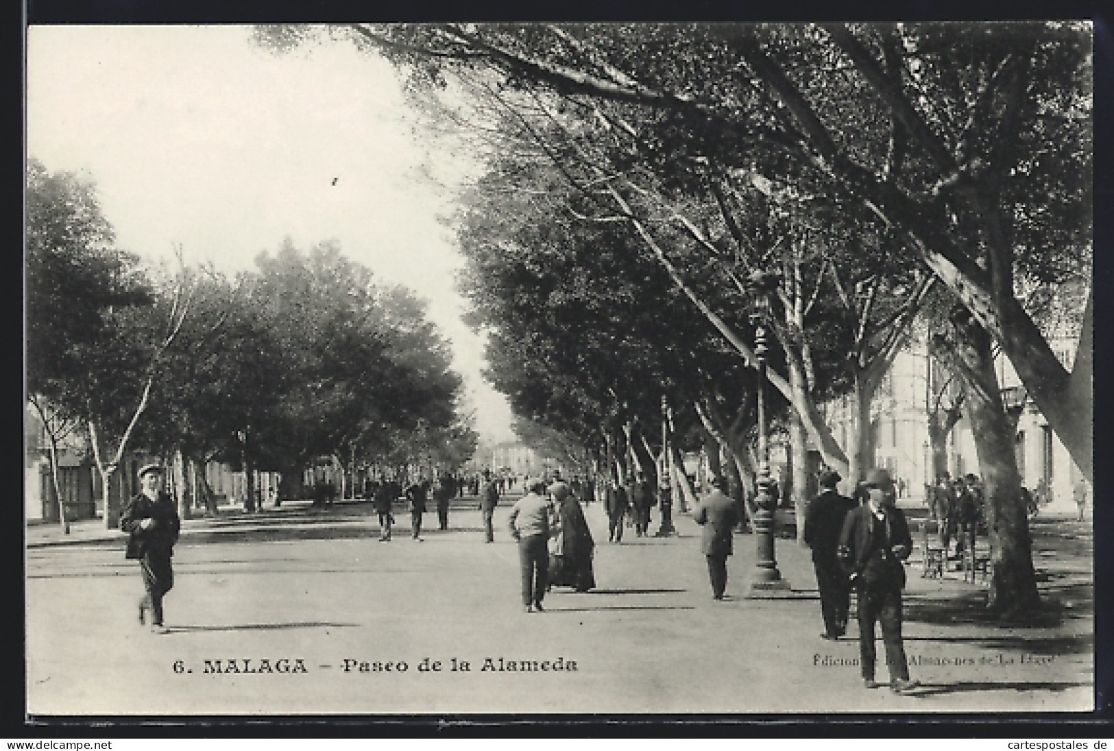 Postal Malaga, Paseo De La Alameda  - Málaga