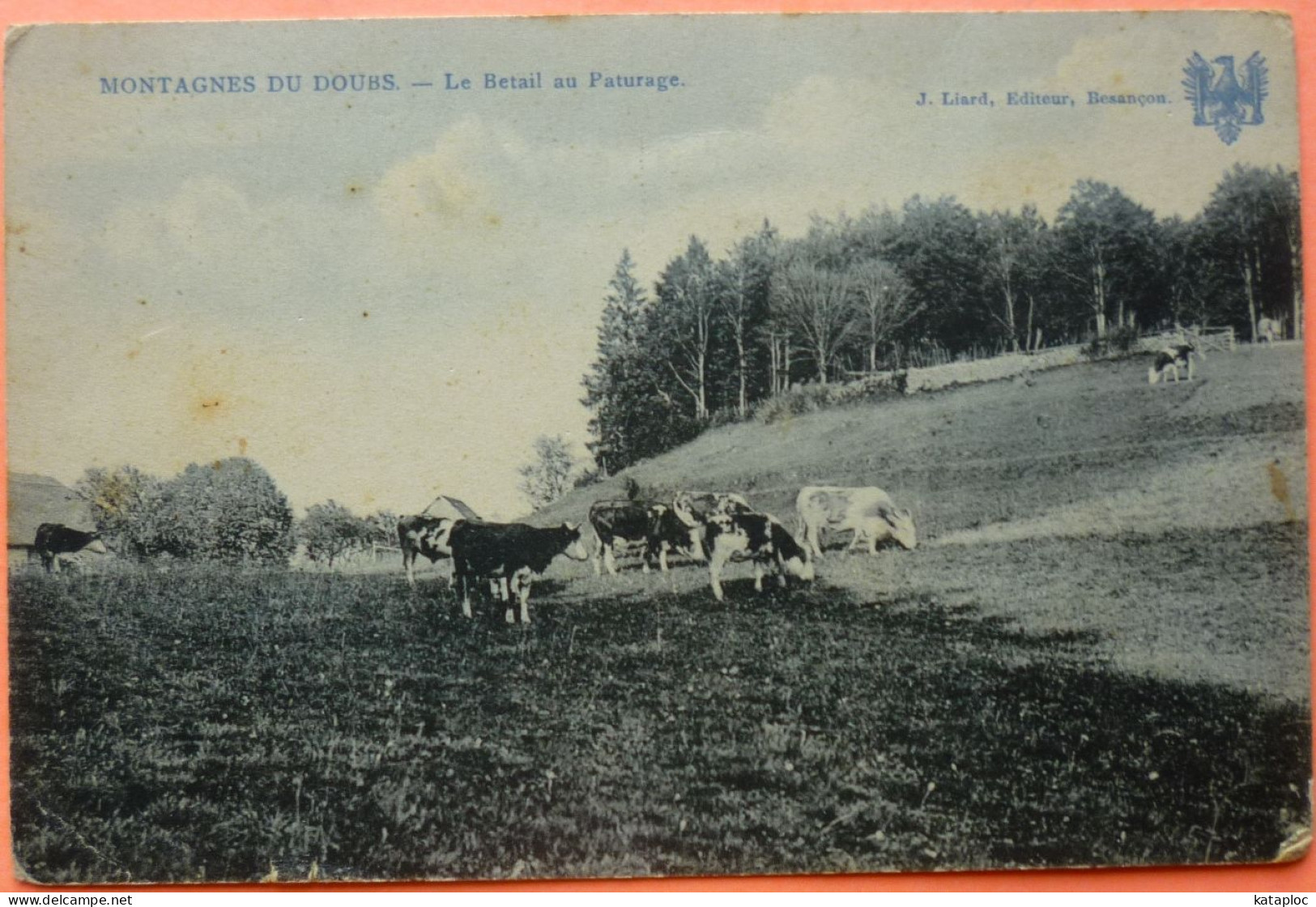 CARTE MONTAGNES DU DOUBS - LE BETAIL AU PATURAGE -  2 SCANS -18 - Other & Unclassified