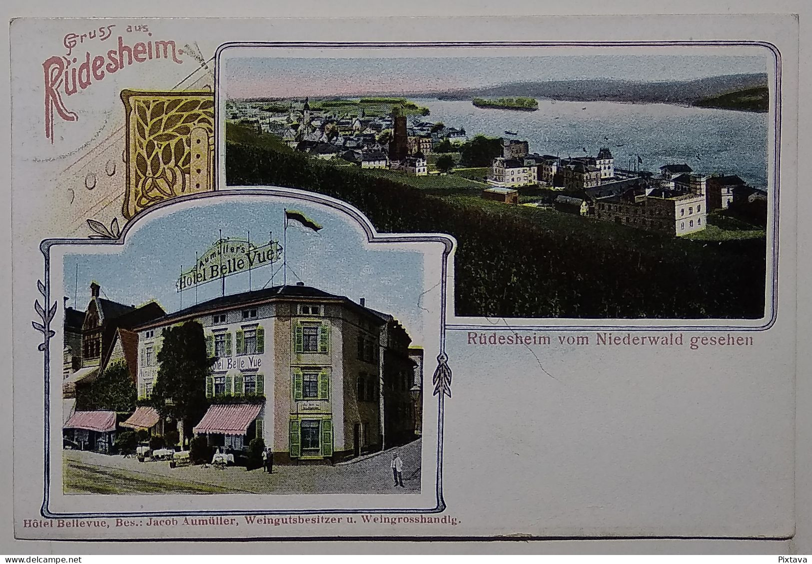 Germany / Rüdesheim / Hotel Belle-Vue / 1907 - Rüdesheim A. Rh.