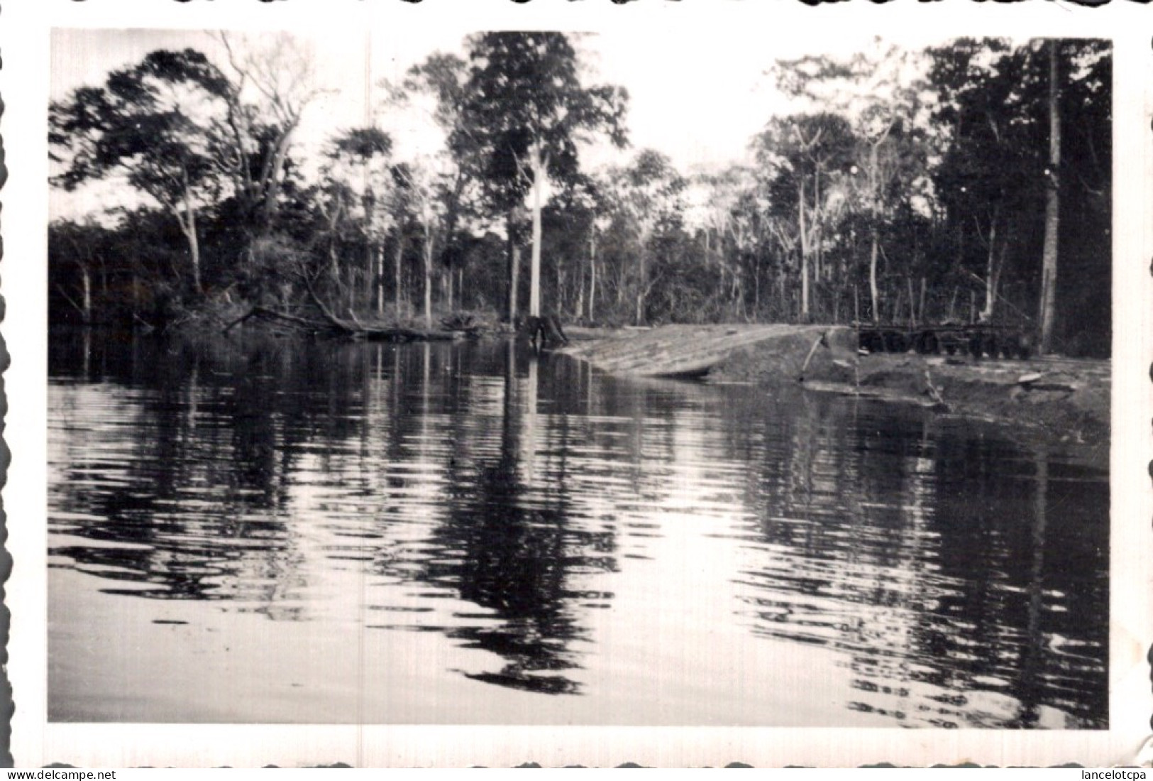 PHOTO 9X6 / GABON - AZINGO - TRAVAUX FORESTIERS - Afrique