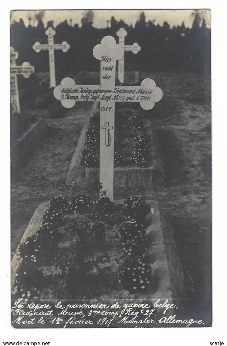 Münster   -   Belgische Kriegsgefangene:    Ferdinand Musse.  -  3de Comp. Belg. Inf. Reg't  27. - Dood Op 1 Febr. 1917 - War Cemeteries
