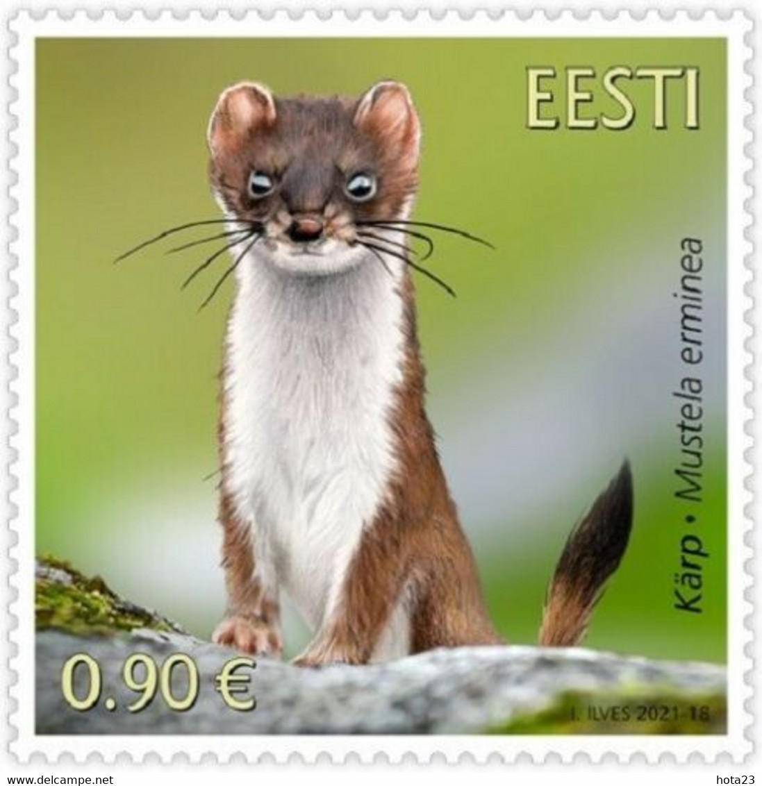 (!)  WILD ANIMAL Estonia 2021  Stamp Estonian Fauna - The Stoat MNH - Estland