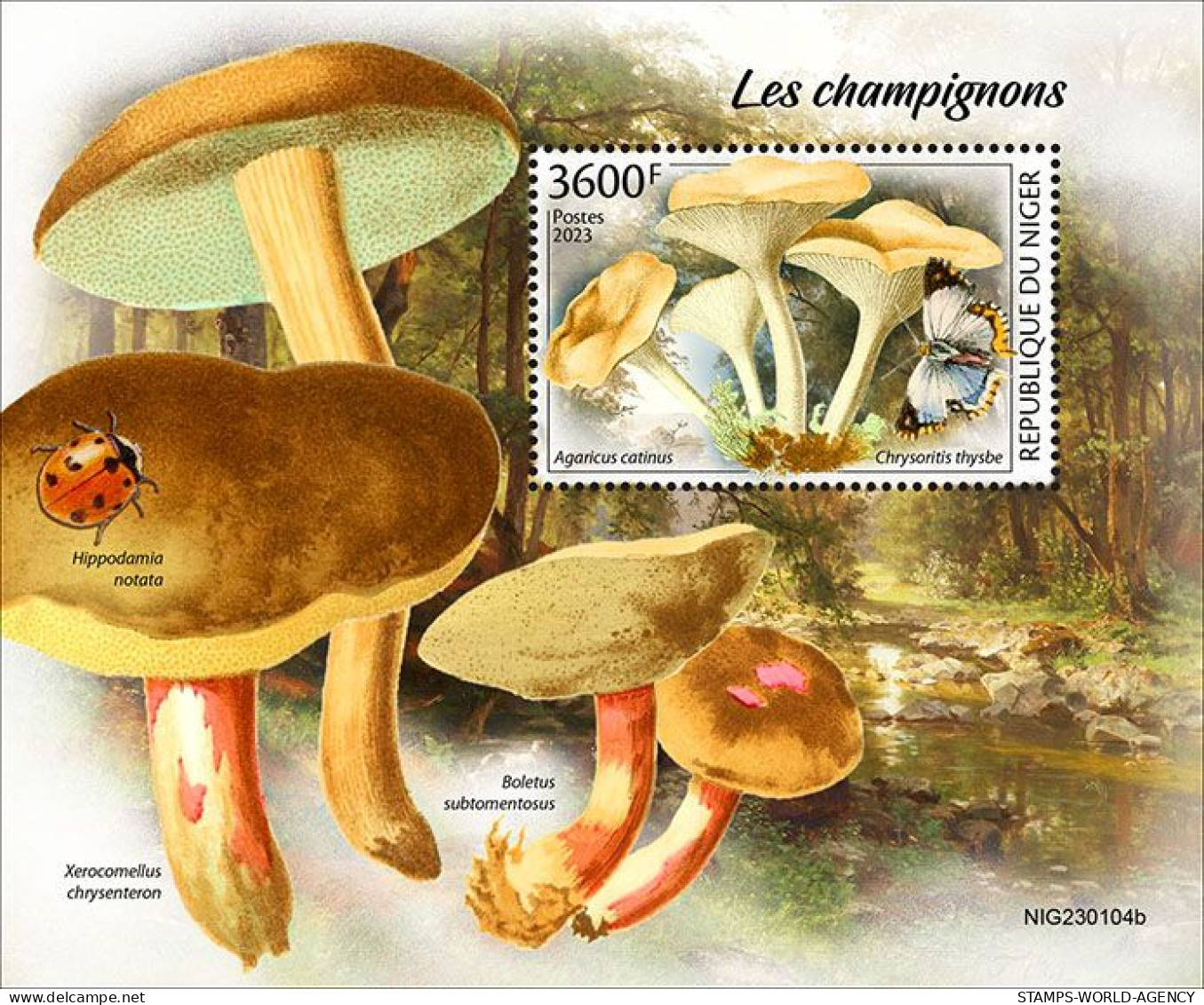 2024-03 - NIGER- MUSHROOMS          1V  MNH** - Mushrooms