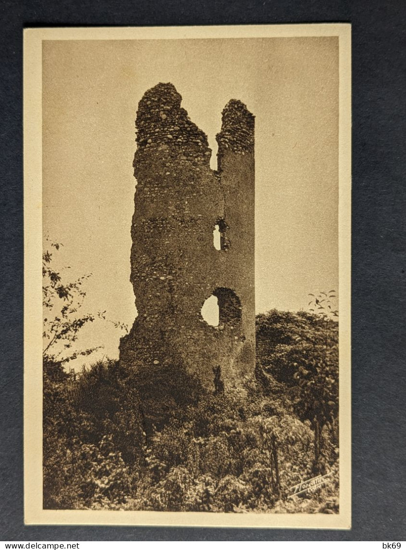 Mas Rillier Par Miribel Ruines Du Vieux Chateau - Ohne Zuordnung