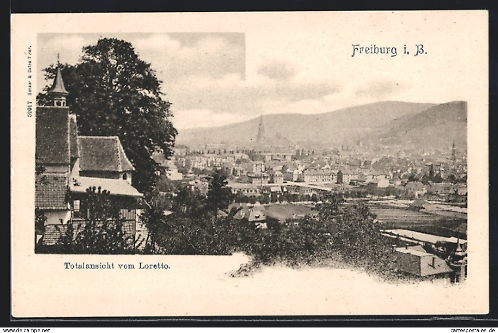 AK Freiburg I. B., Totalansicht Vom Loretto  - Freiburg I. Br.