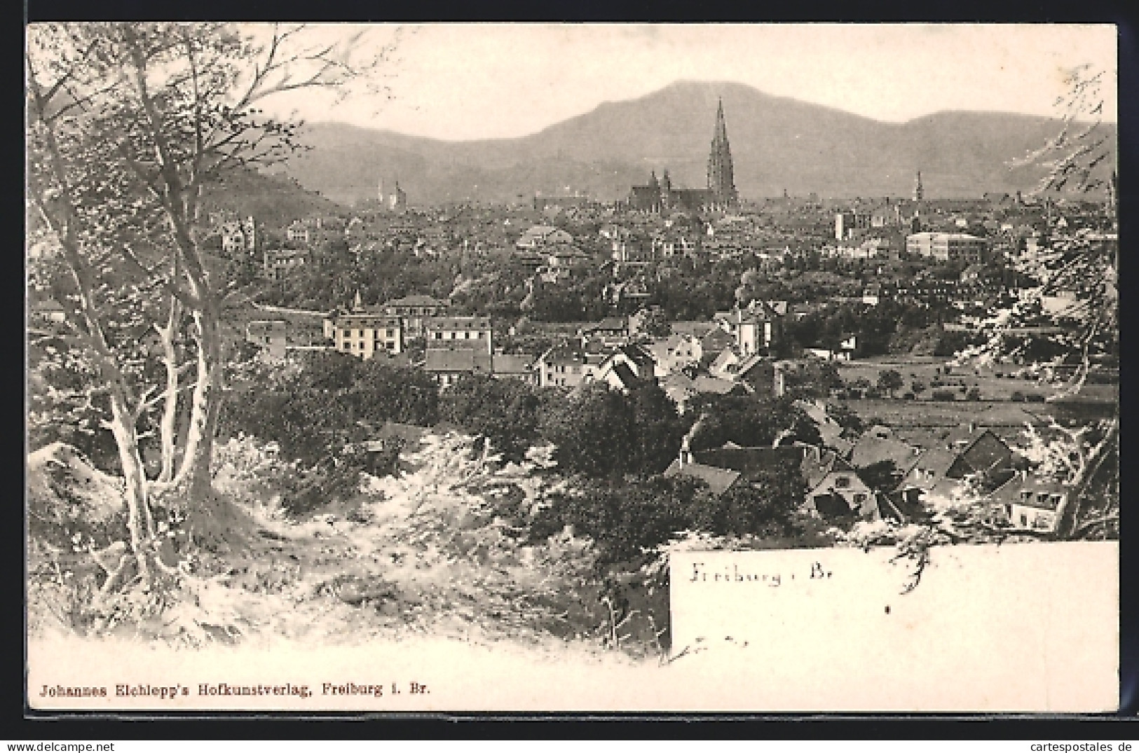 AK Freiburg I. B., Totalansicht Mit Bergpanorama  - Freiburg I. Br.