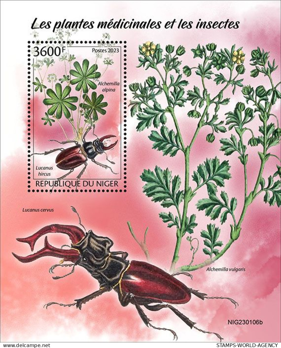 2024-03 - NIGER- MEDICAL PLANTS & INSECTS         1V  MNH** - Geneeskrachtige Planten