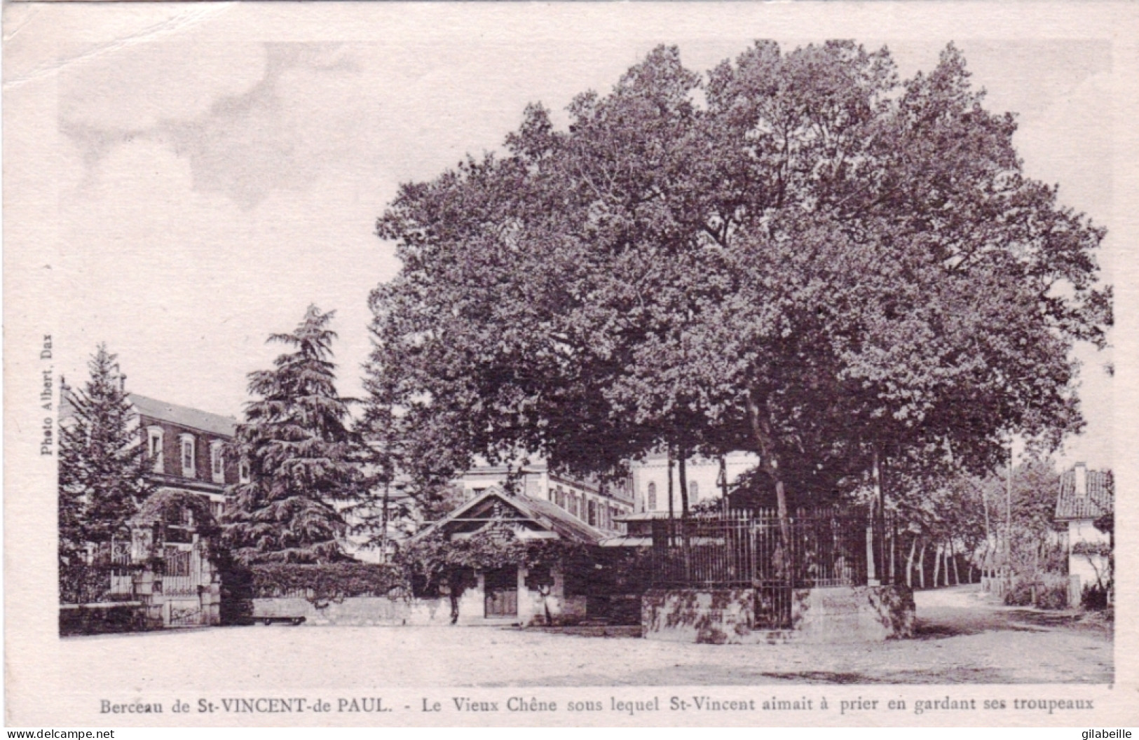 40 - Landes - DAX - Berceau De St Vincent De Paul - Le Vieux Chene Sous Lequel St Vincent Priait - Dax