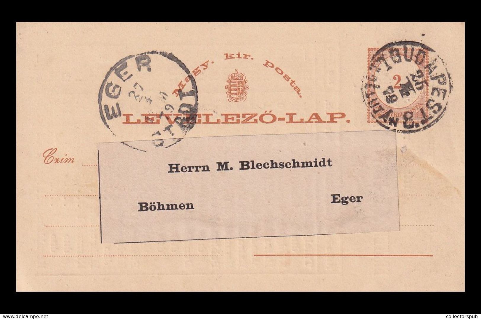 HUNGARY BUDAPEST 1879. PS Card Wioth Private Print - Interi Postali