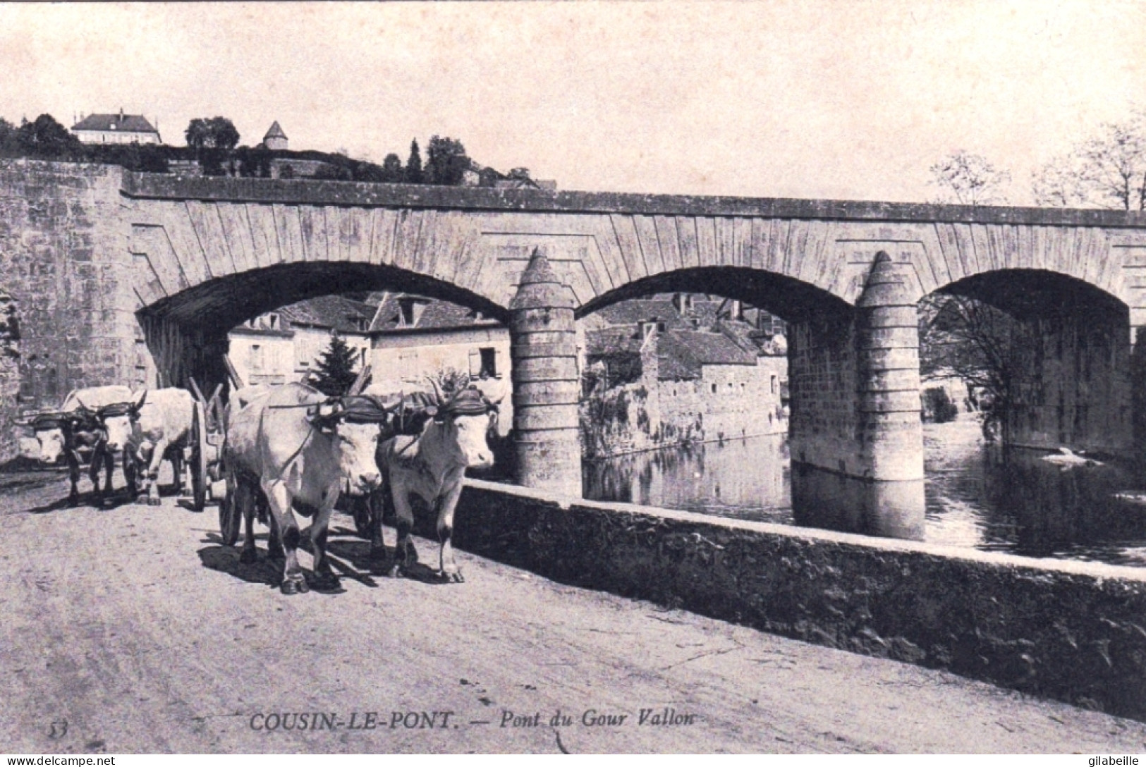 89 - Yonne -  COUSIN Le PONT ( Avallon ) - Pont Du Gour Vallon - Bel Attelage De Boeufs - Avallon