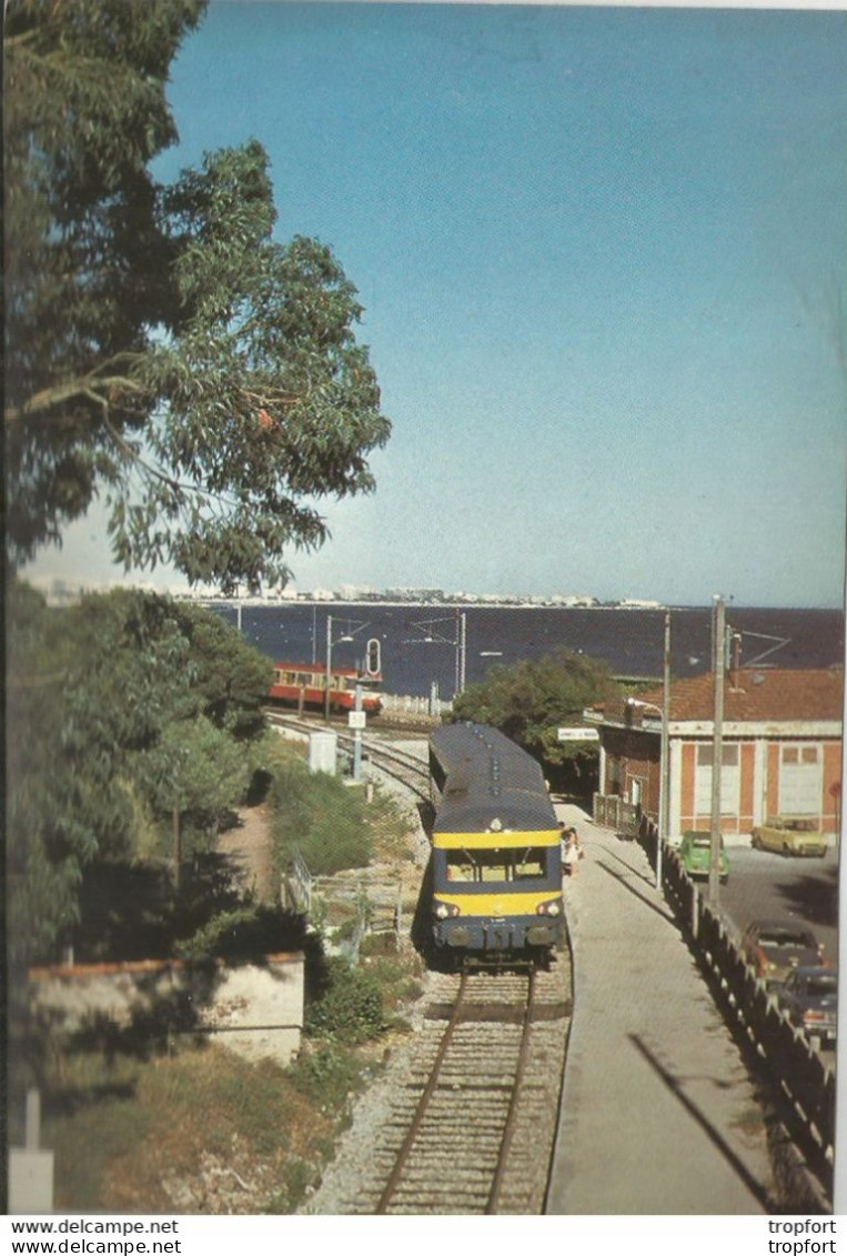 JV / CPSM Train LOCOMOTIVE RAIL Carte Postale // AUTORAIL S.I.T.P Cannes -RANGUIN En Gare De La BOCCA - Treinen