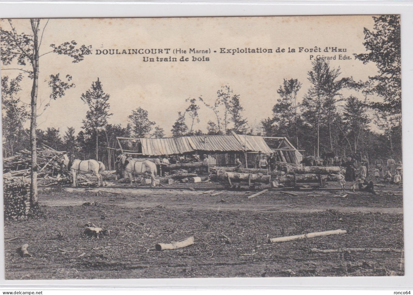 DOULAINCOURT, Forêt D'HEU, Un Train De BOIS. RARE. - Doulaincourt