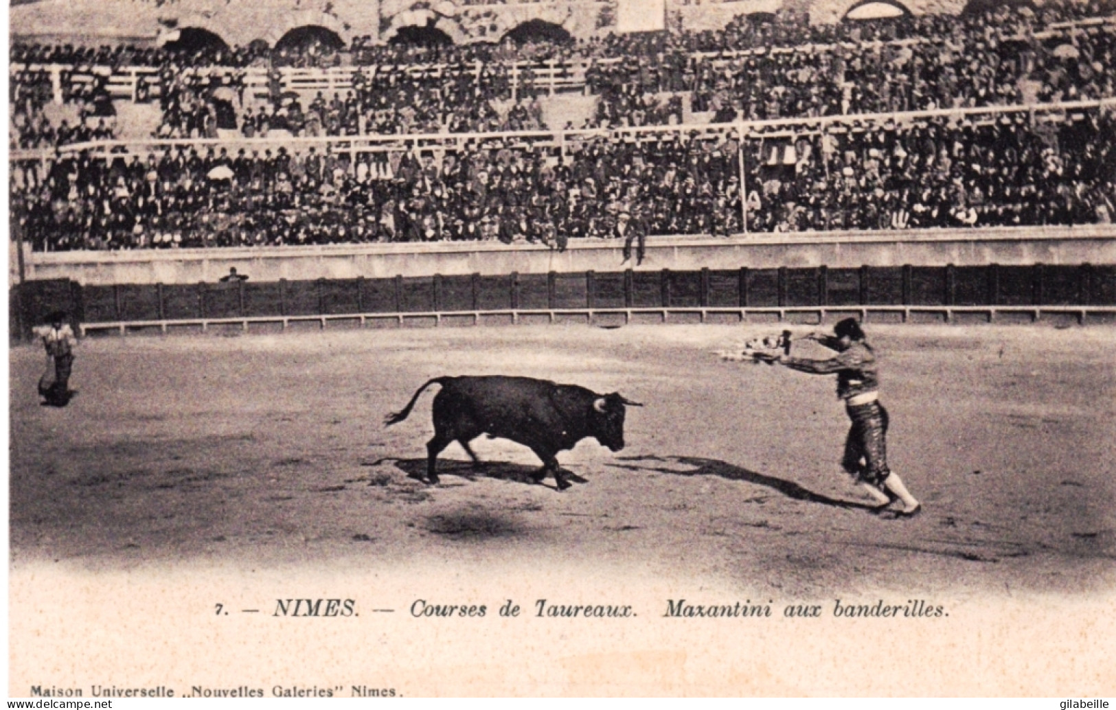 30 - Gard - NIMES - Tauromachie -  Courses De Taureaux - Mazantini Aux Banderilles - Nîmes