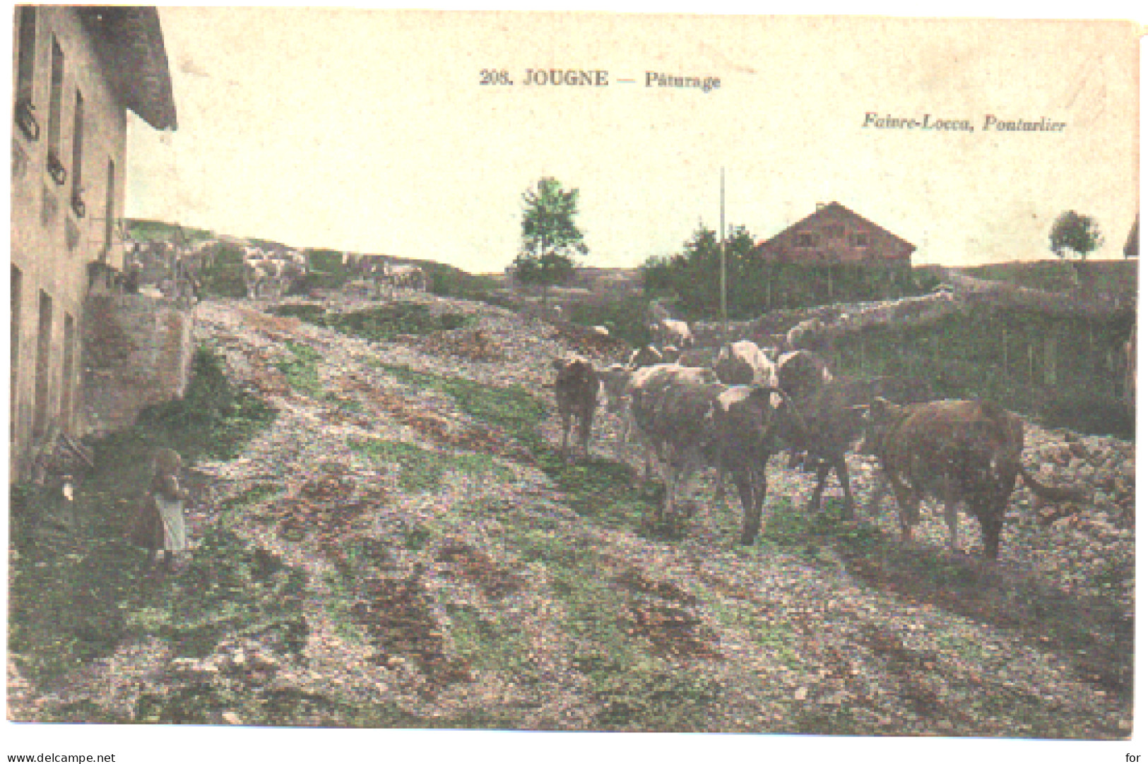 Doubs : JOUGNE : Pâturage : Animation - Petite Fille - Vaches : Colorisée - Other & Unclassified