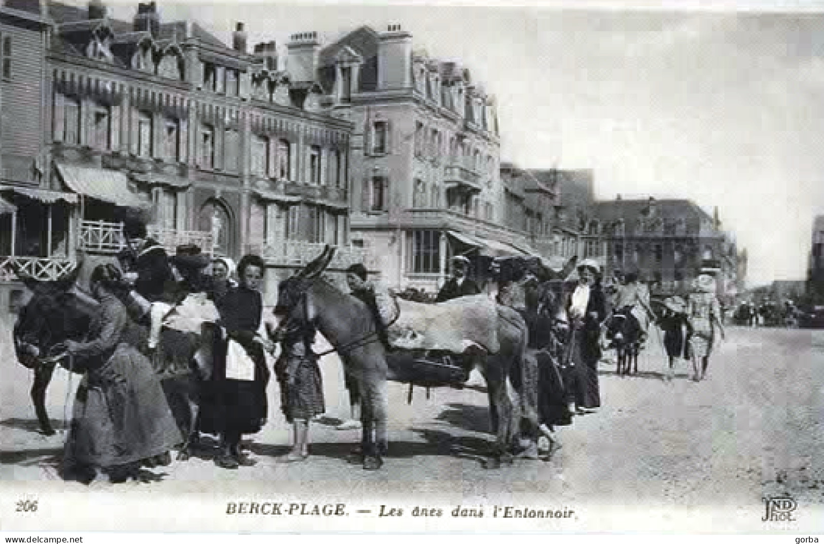 *CPA Repro - 62 -  BERCK-PLAGE - Les ânes Dans L'Entonnoir - Berck