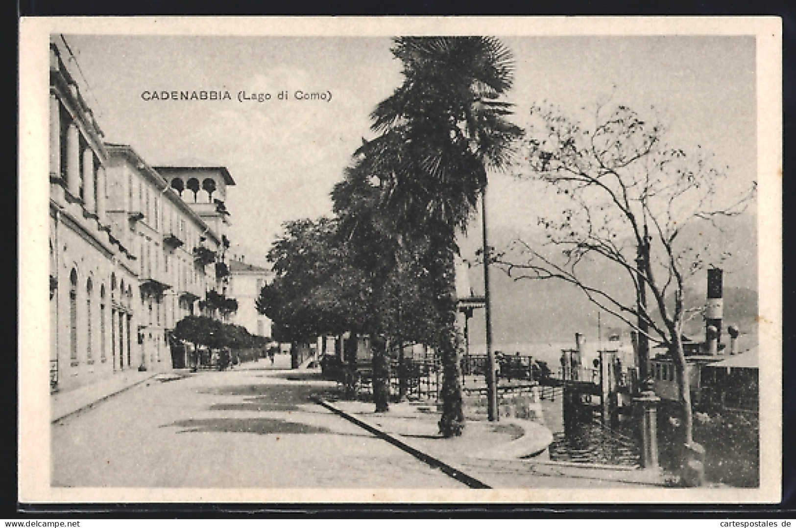 Cartolina Cadenabbia /Lago Di Como, Strassenpartie Mit Palmen  - Como