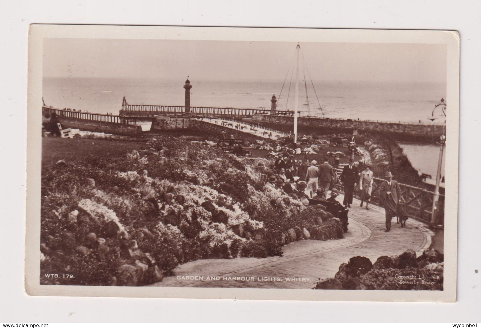 ENGLAND -  Whitby Garden And Harbour Lights  Unused Vintage Postcard - Whitby