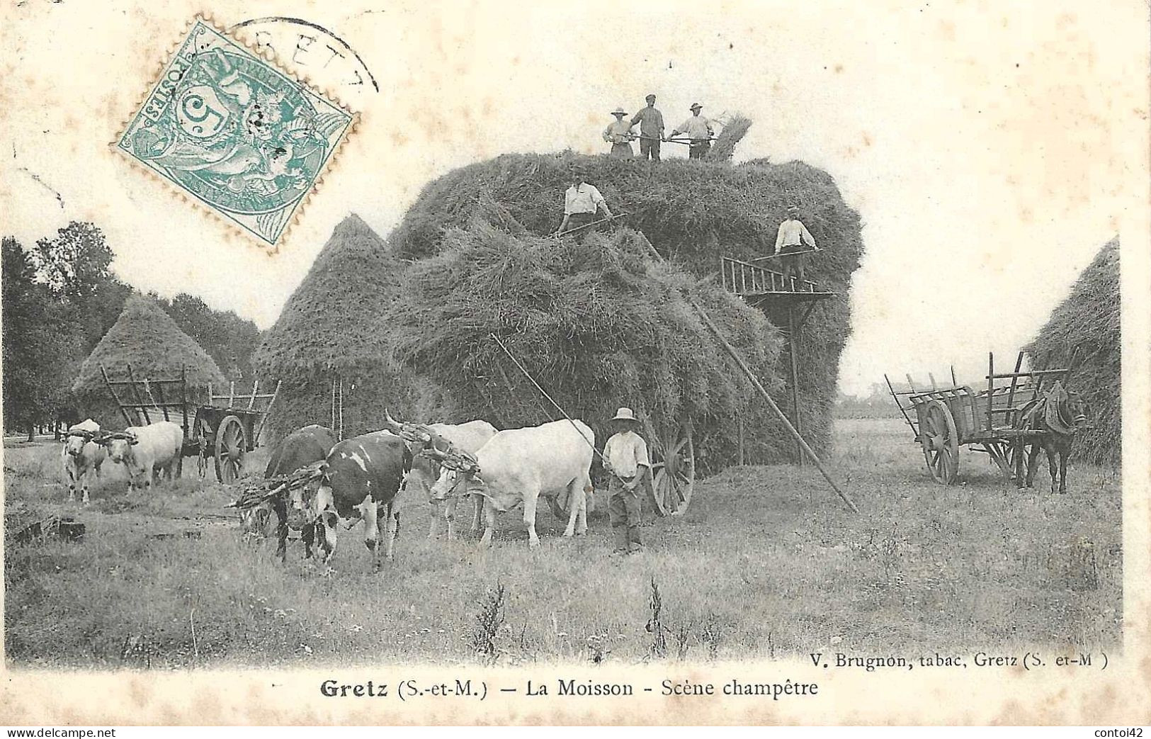 77 GRETZ LA MOISSON SCENE CHAMPETRE ATTELAGE BOEUFS METIER AGRICULTURE SEINE ET MARNE - Gretz Armainvilliers