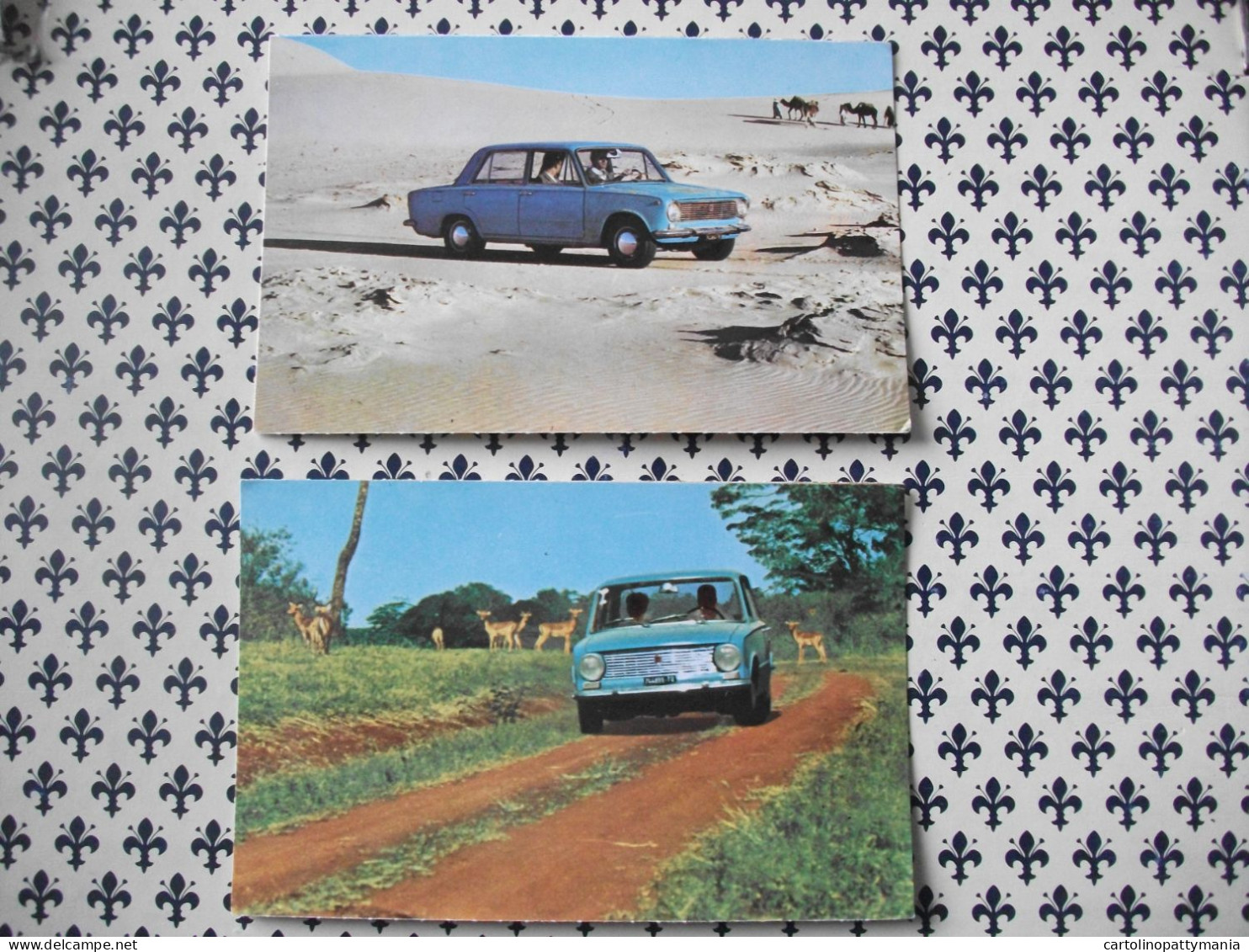 LOTTO 2 CARTOLINE - POSTCARD - DA COLLEZIONE - AUTO CAR FIAT 124 NEL DESERTO E ALL'EQUATORE PICCOLO FORMATO - Voitures De Tourisme