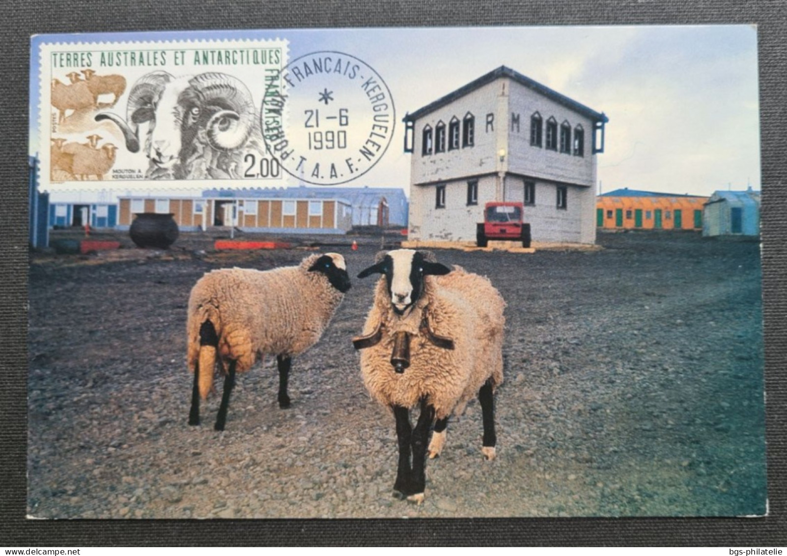 TAAF, Timbre Numéro 141 Oblitéré De Kerguelen Le 21/6/1990. - Storia Postale