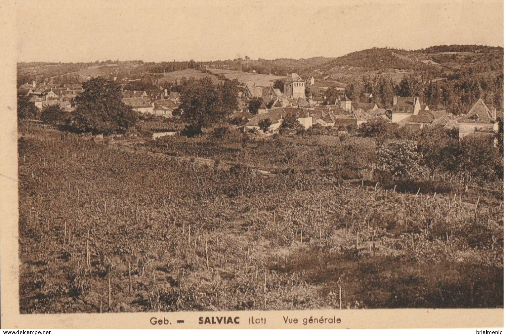 SALVIAC   Vue Générale - Salviac