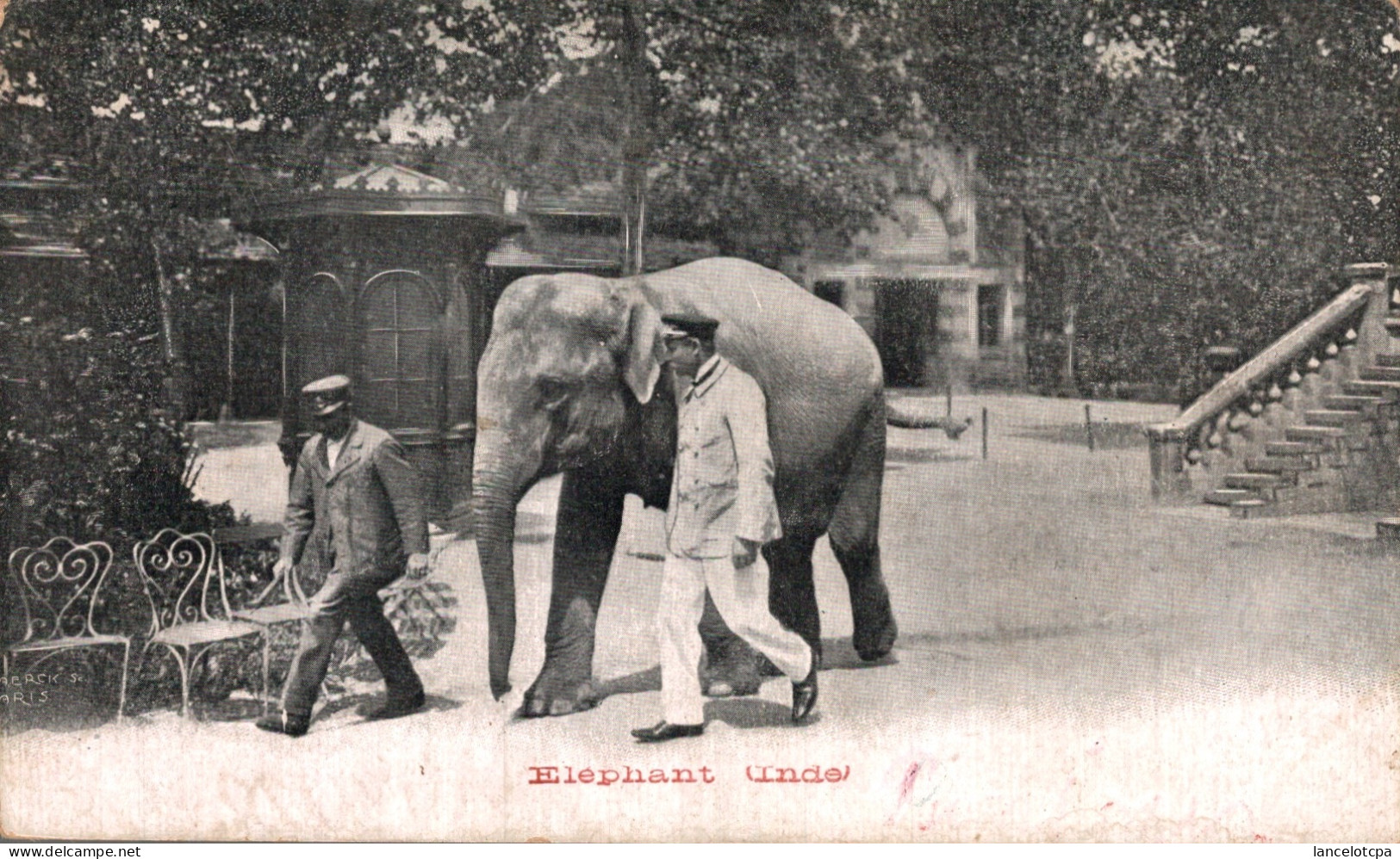 ELEPHANT - INDE - Indien