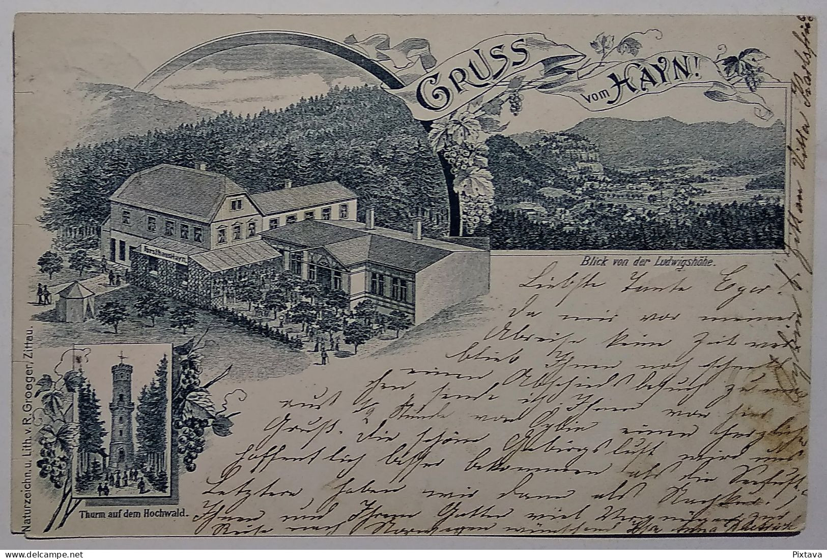 Germany / Gruss Vom Hayn / 1897 / - Sonstige & Ohne Zuordnung