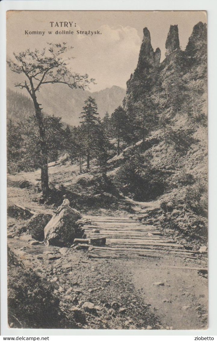 CARTOLINA DEI MONTI TATRY - POLONIA  - FORMATO PICCOLO - Polen