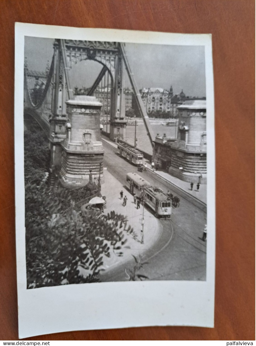 Historic Photo Hungary - Budapest, Old Elizabeth Bridge, Tram - Europe
