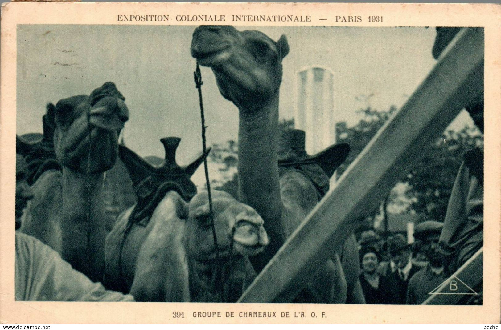 N°1291 W -cpa Paris -exposition Coloniale -groupe De Chameaux- - Expositions