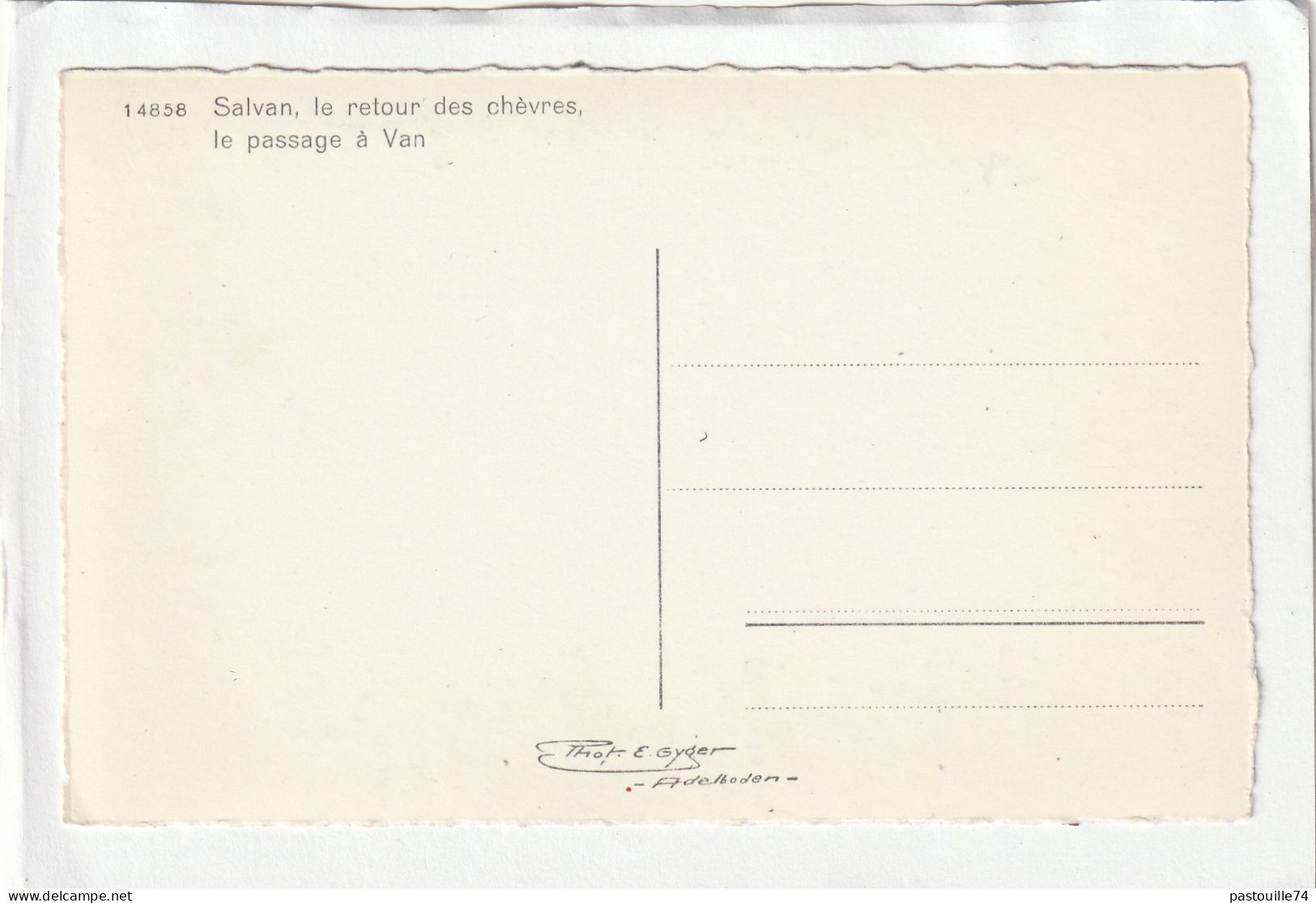 CPSM :  14 X 9  -  Salvan, Le Retour Des Chèvres, Le Passage à Van - Salvan